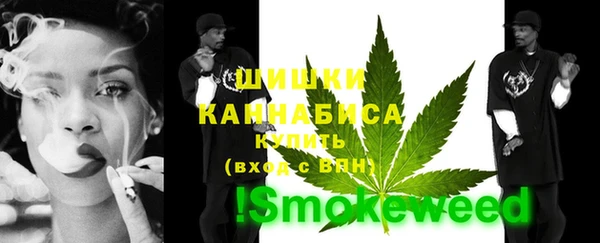 шишки Абинск