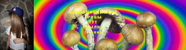 мяу мяу мука Абдулино