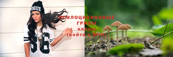 мяу мяу мука Абдулино
