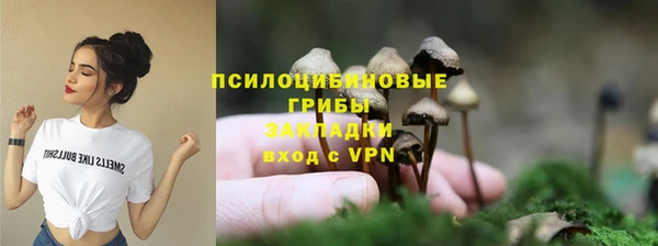 мяу мяу мука Абдулино