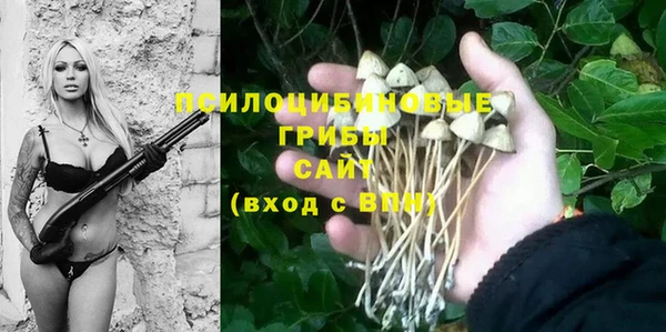 шишки Абинск