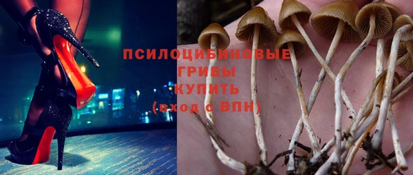 прущая мука Абаза