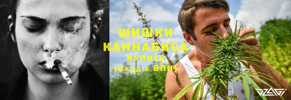шишки Абинск