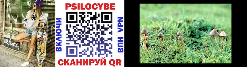 mega ссылки  Черепаново  Псилоцибиновые грибы Psilocybe 